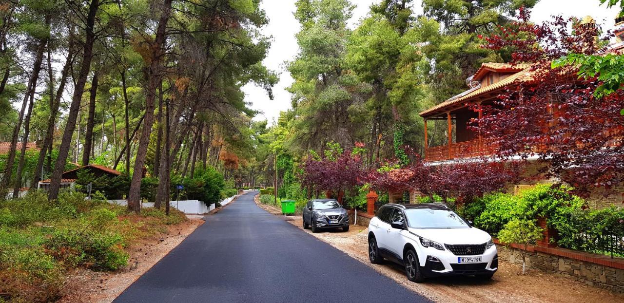 Wood And Stone Villa Sani  Екстер'єр фото